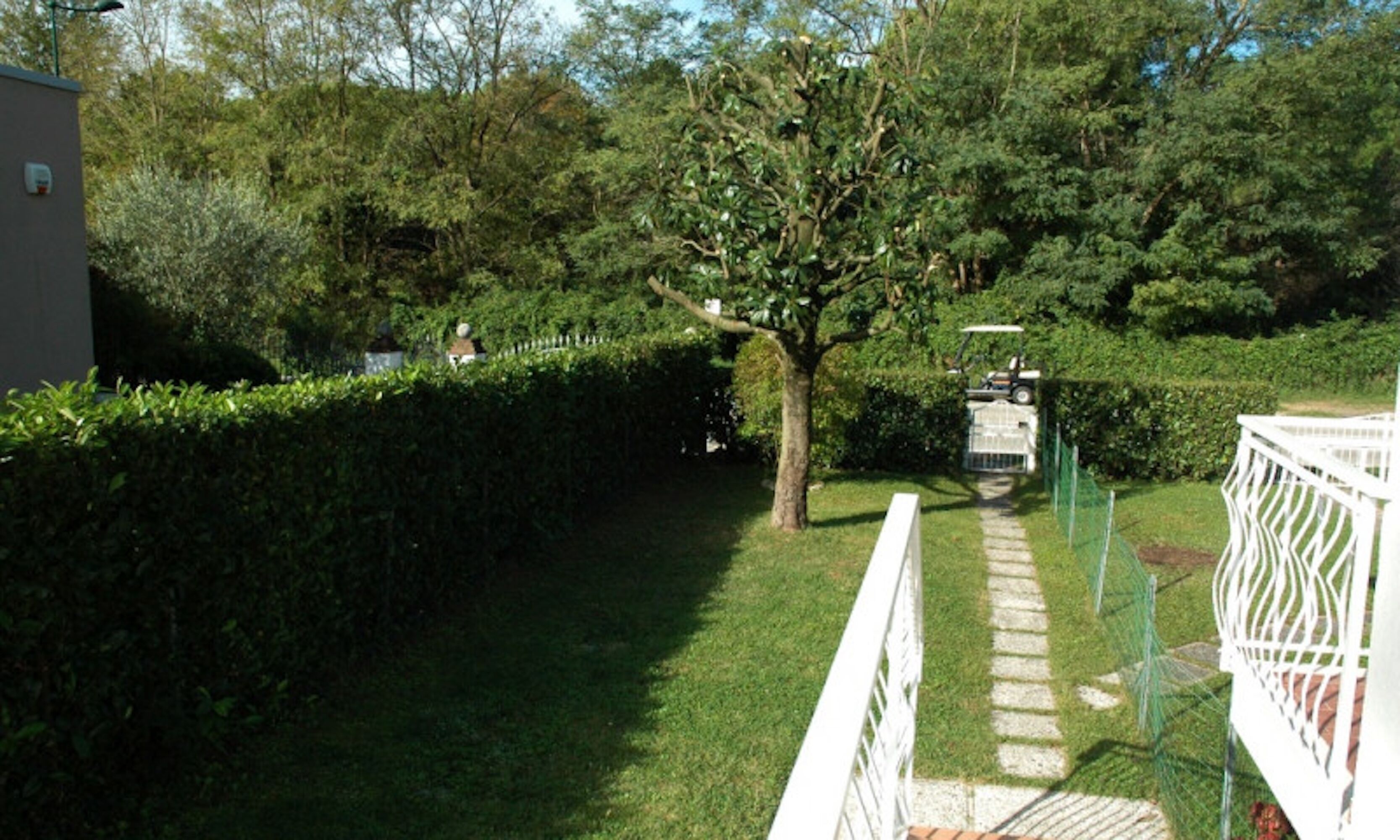 A pathway leading to a gated area with a tree and a building in the background.