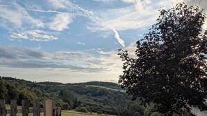 Ländliche Landschaft mit einer Wiese, einem Holzzaun und einem Baum.