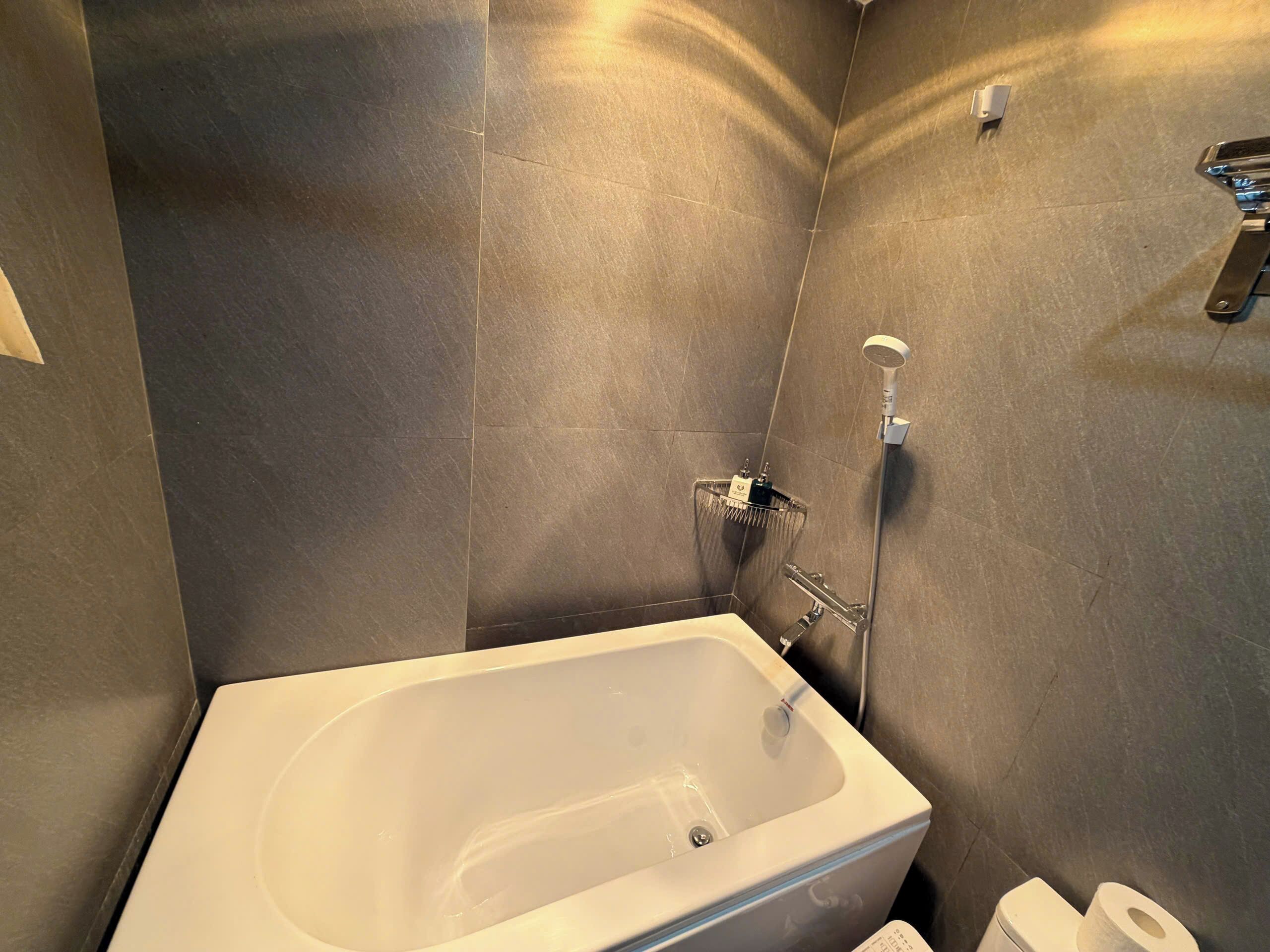 Deluxe Double Room | Bathroom | Shower, hair dryer, towels, soap