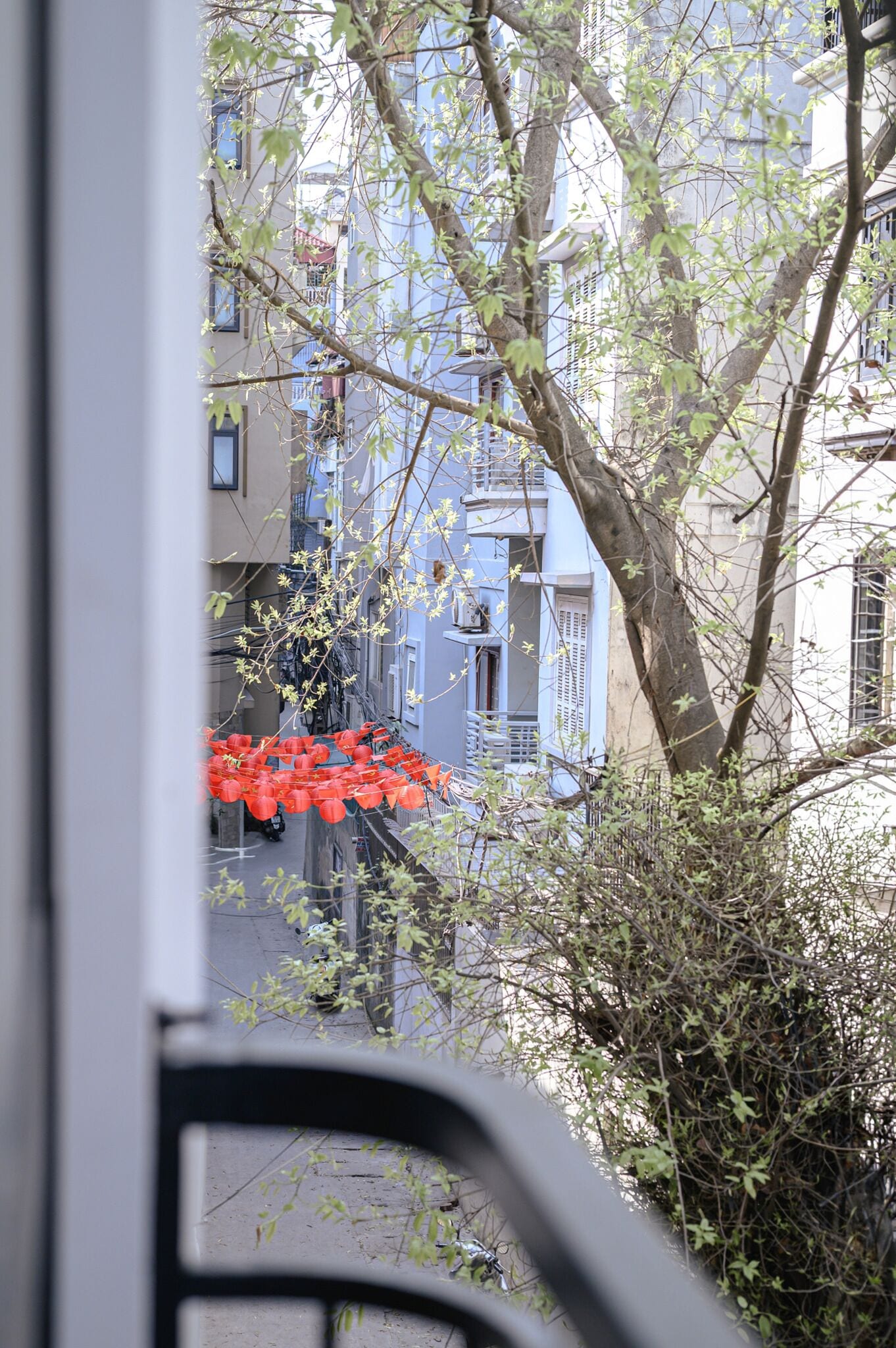 Een smalle straat met gebouwen aan weerszijden, een boom met groene bladeren en een rood voorwerp op de grond.