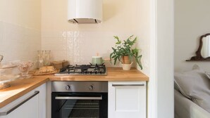 Una cucina con piano cottura a gas, forno e una pianta in vaso sul ripiano.