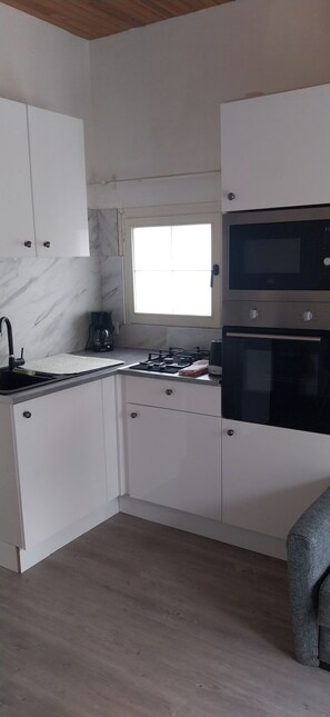 Microwave, oven, stovetop, dishwasher - Comfortable cocooning between town and country (Seyresse)