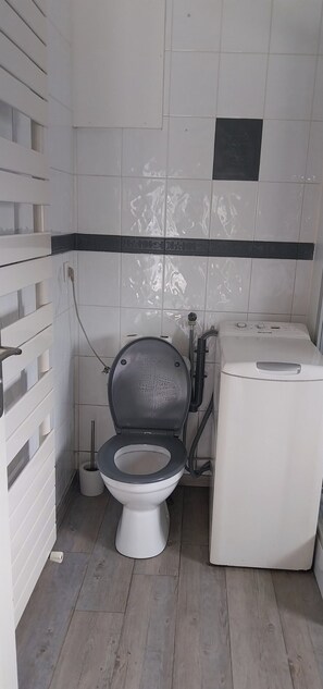 Ducha, secador de pelo, toallas y papel higiénico