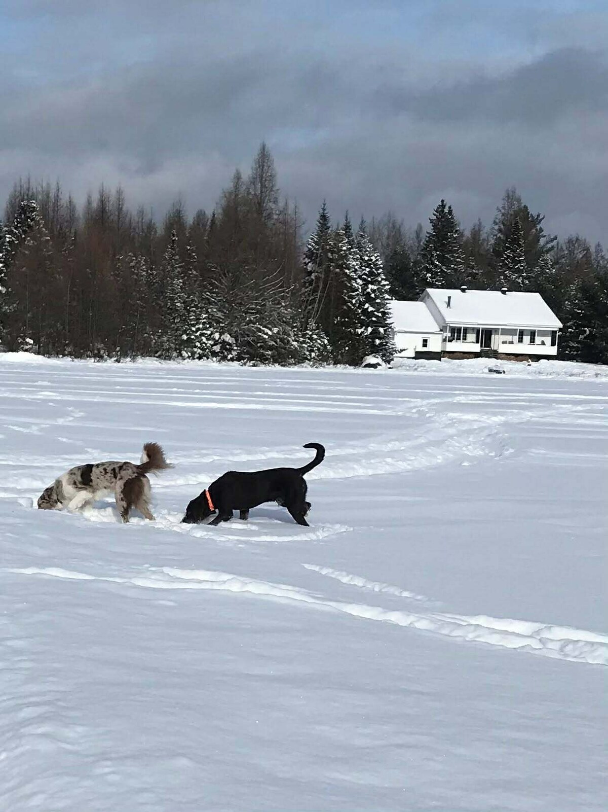 Image de profil de l’hôte