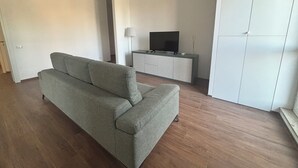 Ein modernes Wohnzimmer mit einem grauen Sofa, einem Fernseher auf einem Schrank und einem Kleiderschrank.