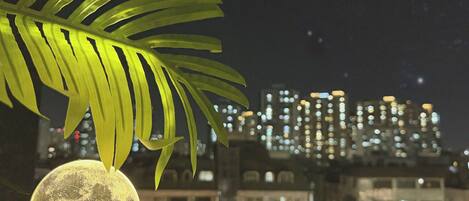 Cena noturna com um horizonte urbano ao fundo, uma folha de palmeira em primeiro plano e um objeto semelhante à lua.