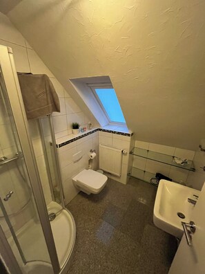 A compact bathroom with a skylight, a shower, a toilet, and a sink.