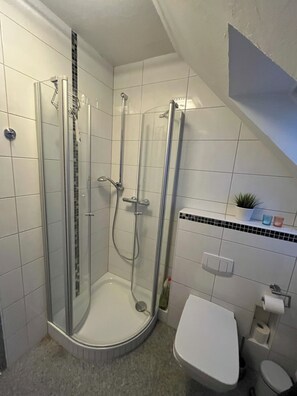 Dusche, Haartrockner, Seife, Toilettenpapier