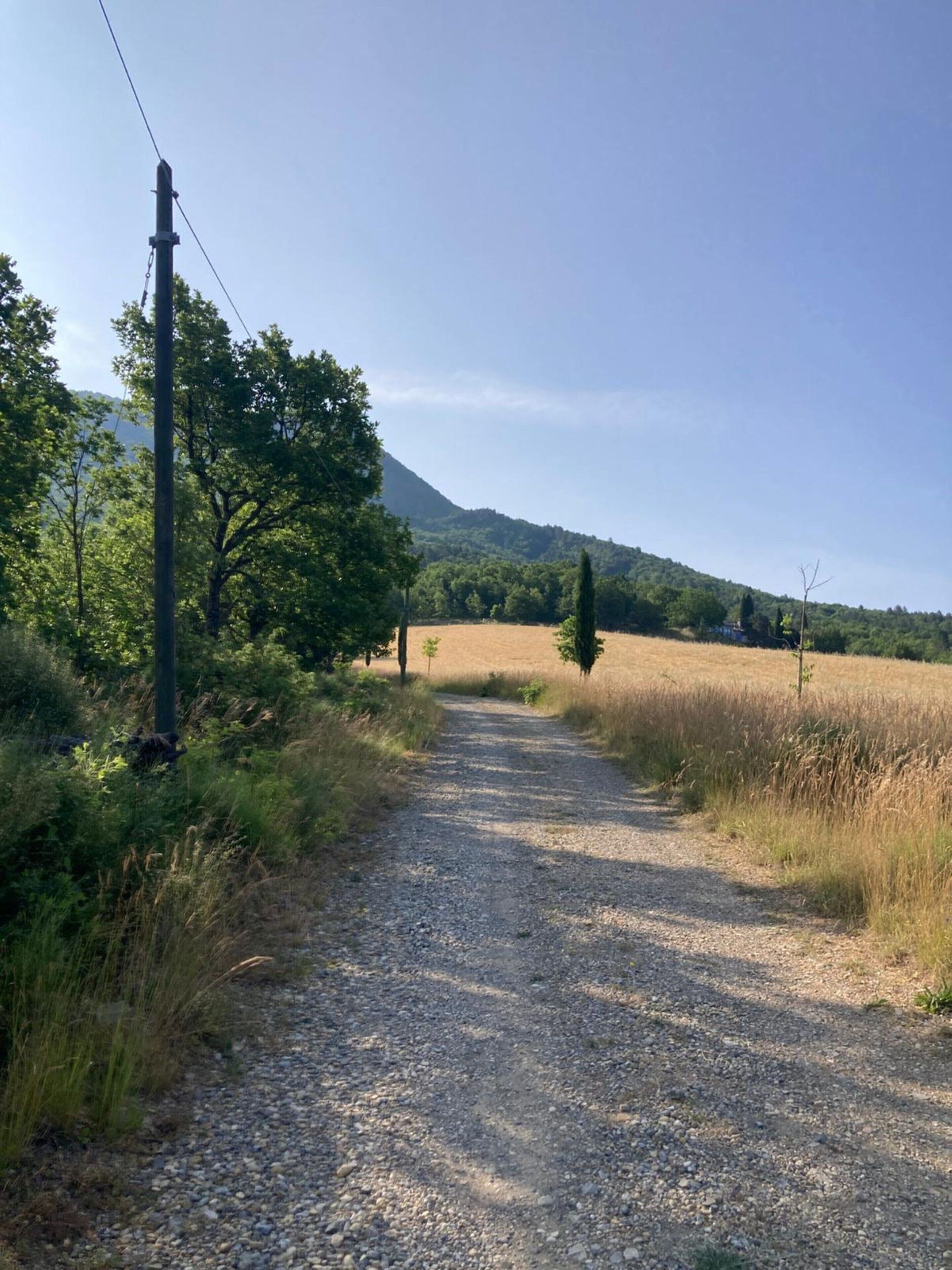 A gravel path leading through a rural landscape with trees and a mountain in the background.