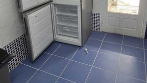 Eine Küche mit blau gefliestem Boden, einem Kühlschrank und einer Tür, die zu einem Außenbereich führt.