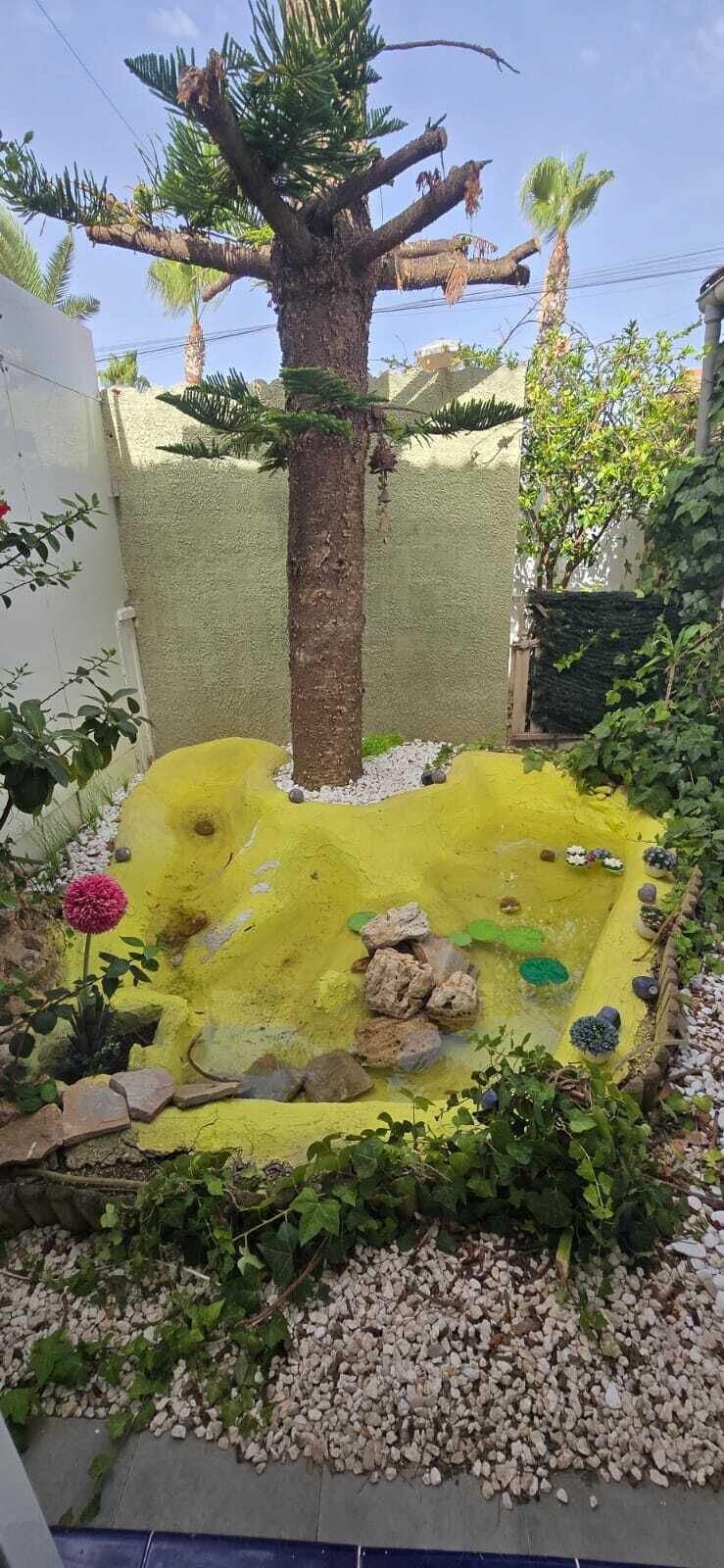 A garden with a palm tree, a yellow-painted pond, and surrounding greenery.