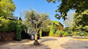 A gravel driveway leading to a parked vehicle, surrounded by lush greenery and a stone wall. - Fabulous farm in Mesquitela, Mangualde for vacation with pool for 18 people (Mesquitela)