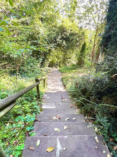 Idyllic retreat on the edge of the forest - perfect for hiking & unwinding