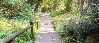 Idyllic retreat on the edge of the forest - perfect for hiking & unwinding