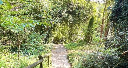 Idyllic retreat on the edge of the forest - perfect for hiking & unwinding