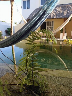 Property grounds - 2-bedroom apartment with Bio-pool in beautiful Mahahual (Mahahual)