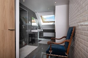 Shower, hair dryer, towels - Ty Castel Guest Room 1 with Pool, Terrace & Wi-Fi (Ploeren)