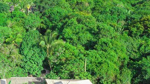 A house with a swimming pool surrounded by lush greenery and a view of the ocean. - Casa Limone (Porto Seguro)