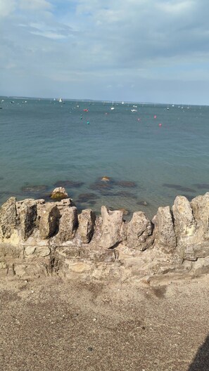 A rocky shoreline with clear water and boats in the distance. - Stylish New Apartment in Central Seaview - 5 Star Comfort! (Seaview)