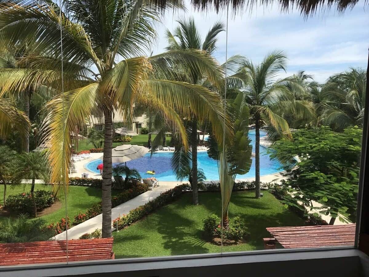Une piscine entourée de palmiers et bordée d’une pelouse bien entretenue.