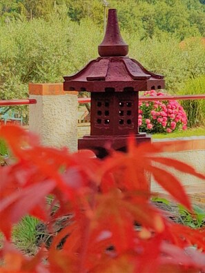 Detalle del exterior