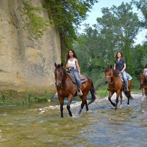 公寓, 1 間臥室 | 其他設施