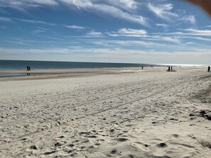 Une vaste plage de sable où l’on peut voir des empreintes de pas et des branches éparpillées.