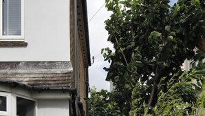 Ein schmaler Ziegelweg führt zu einem Haus mit weißer Fassade und einem großen Baum im Hintergrund.