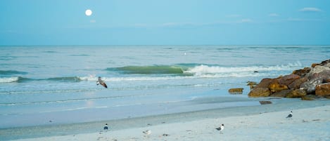 A beach with waves, rocks, and birds.