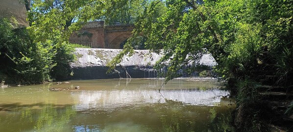 A calm river with a bridge and dense foliage.