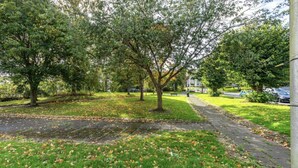 Un parc avec des arbres, un sentier et une zone herbeuse parsemée de feuilles mortes.