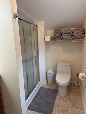 A bathroom with a glass shower door, a toilet, a trash can, a shelf with towels, and a doormat.