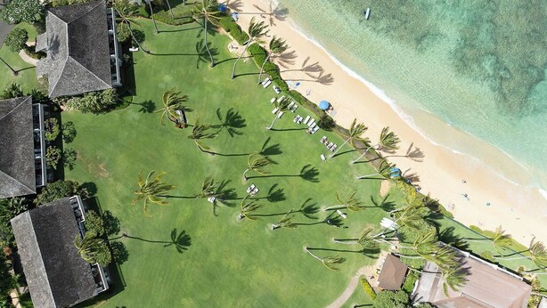 Vista aérea de un resort con playa, palmeras y un campo de golf.