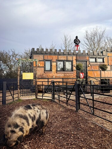 Copper Castle & Petting Farm near Legoland