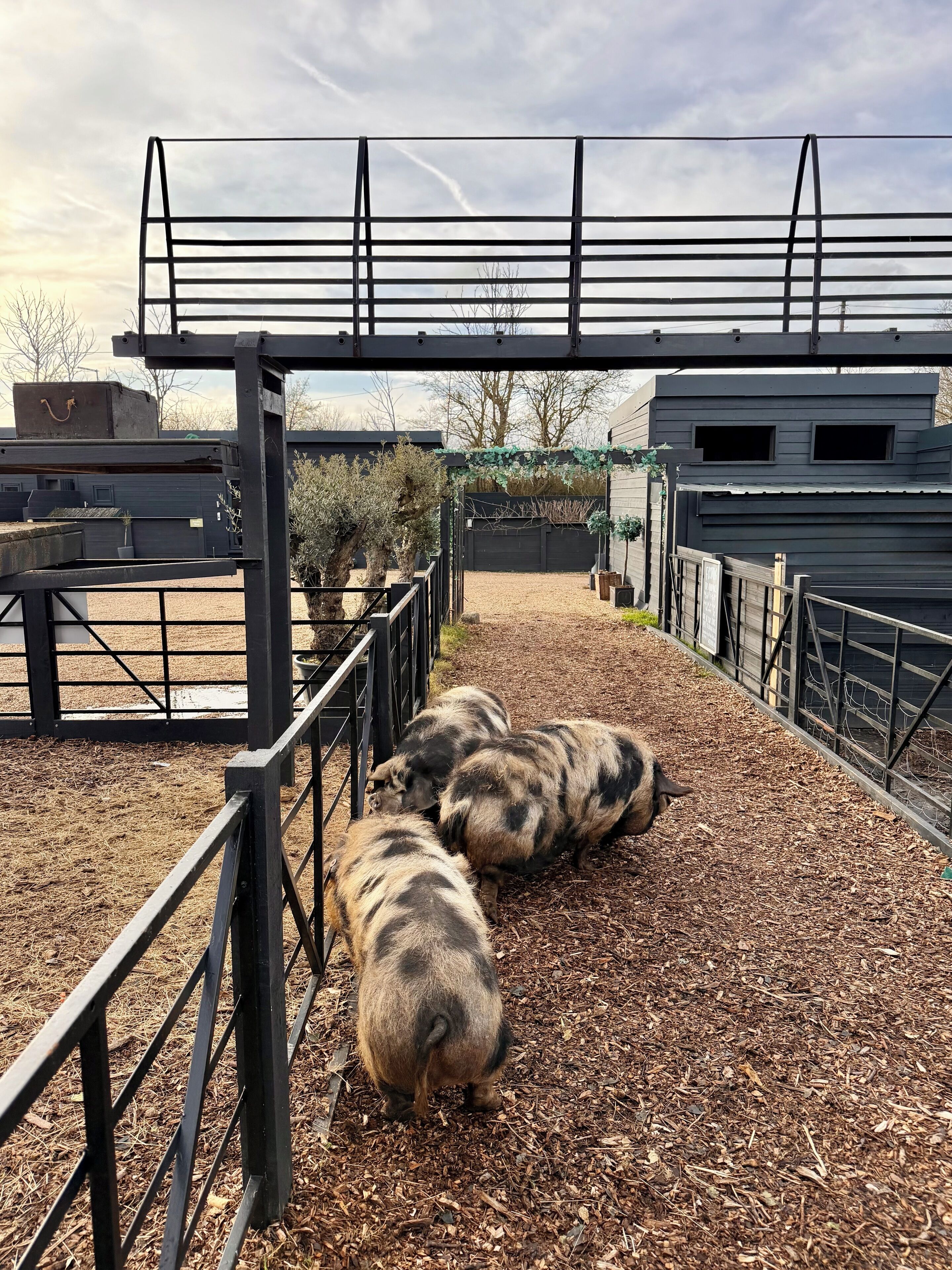 Deluxe Cabin, Garden View | Property grounds