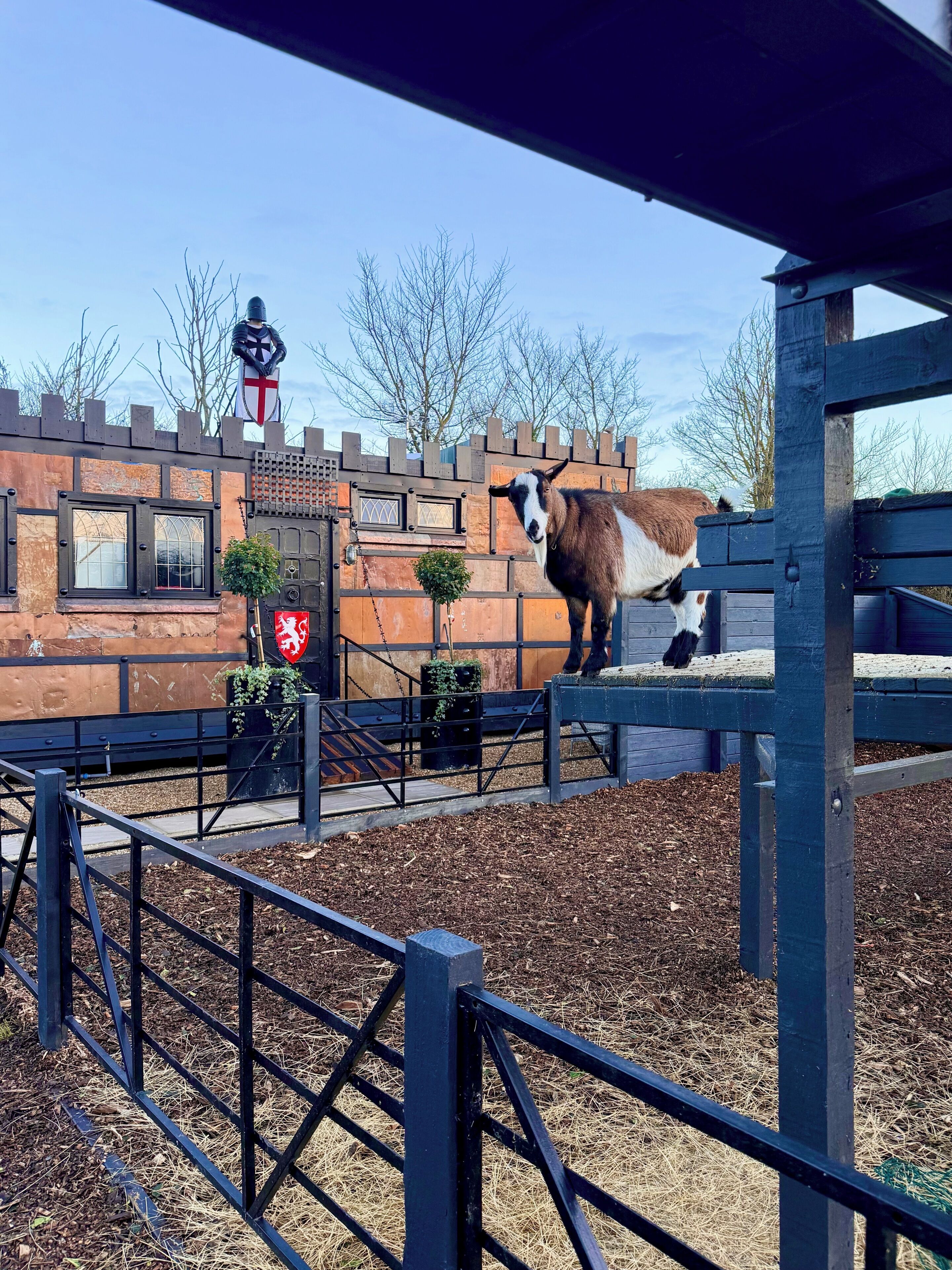 Deluxe Cabin, Garden View | Property grounds