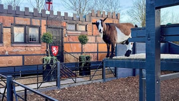 Deluxe Cabin, Garden View | Property grounds