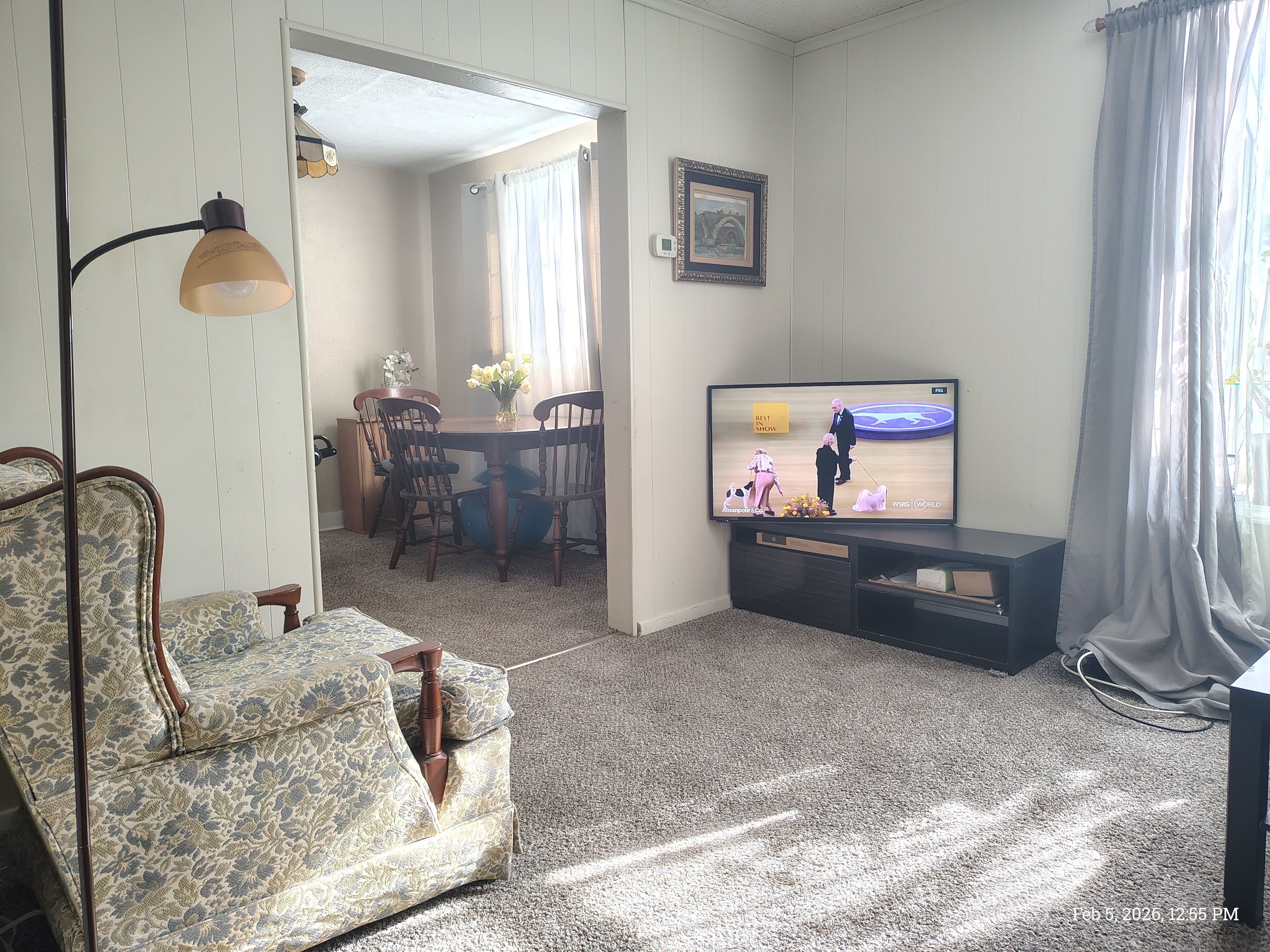 TV connectée, cheminée, livres, chaîne hi-fi