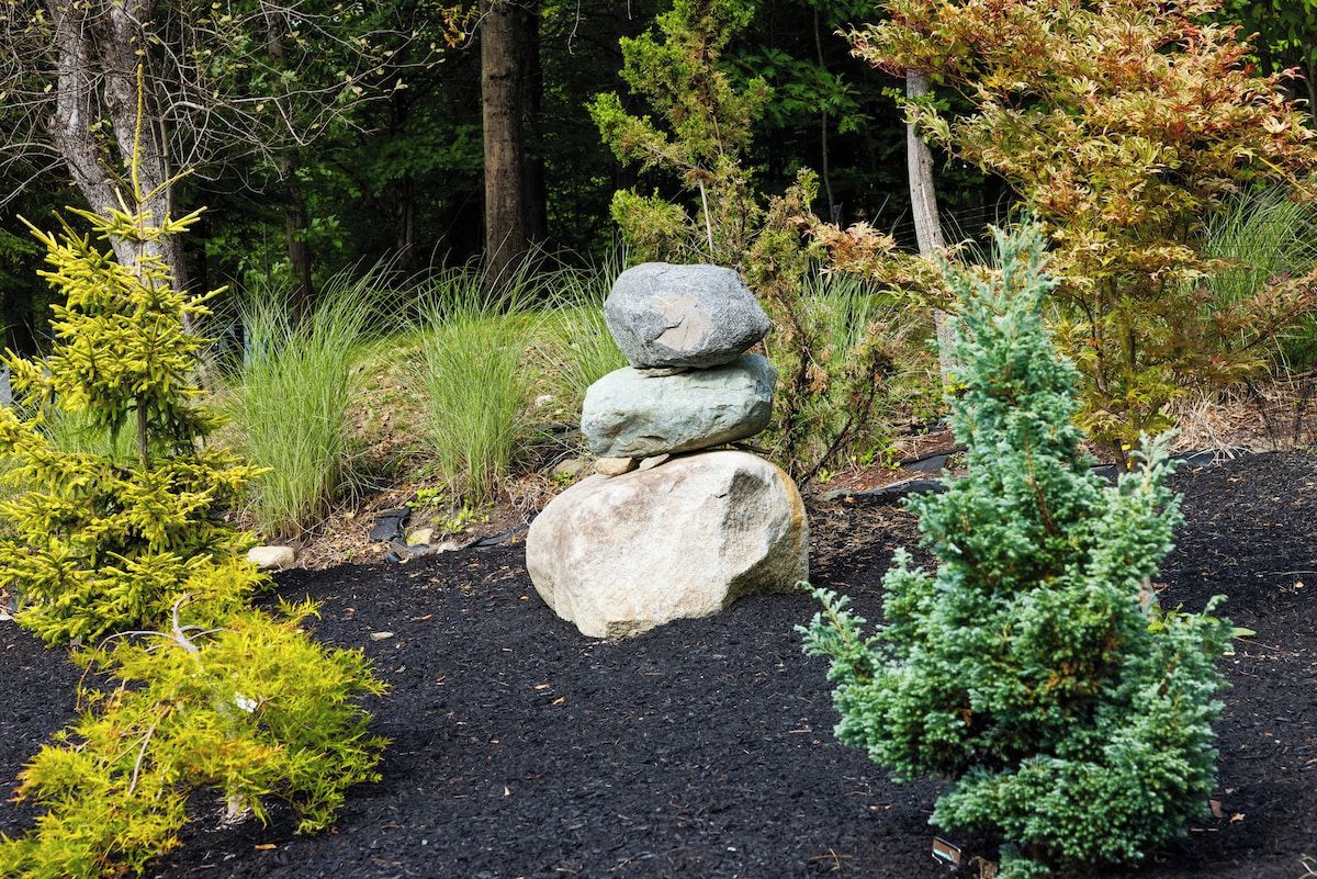 A garden with a stack of rocks, various shrubs, and a small tree.