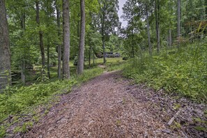 Property grounds - Warm Fire, Cool Forest, trails, pioneer spirit (Bryson City)