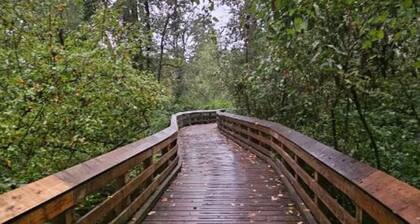 Spacious 2 bedroom suite in quiet neighborhood