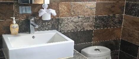 Ducha, toallas, jabón, papel higiénico