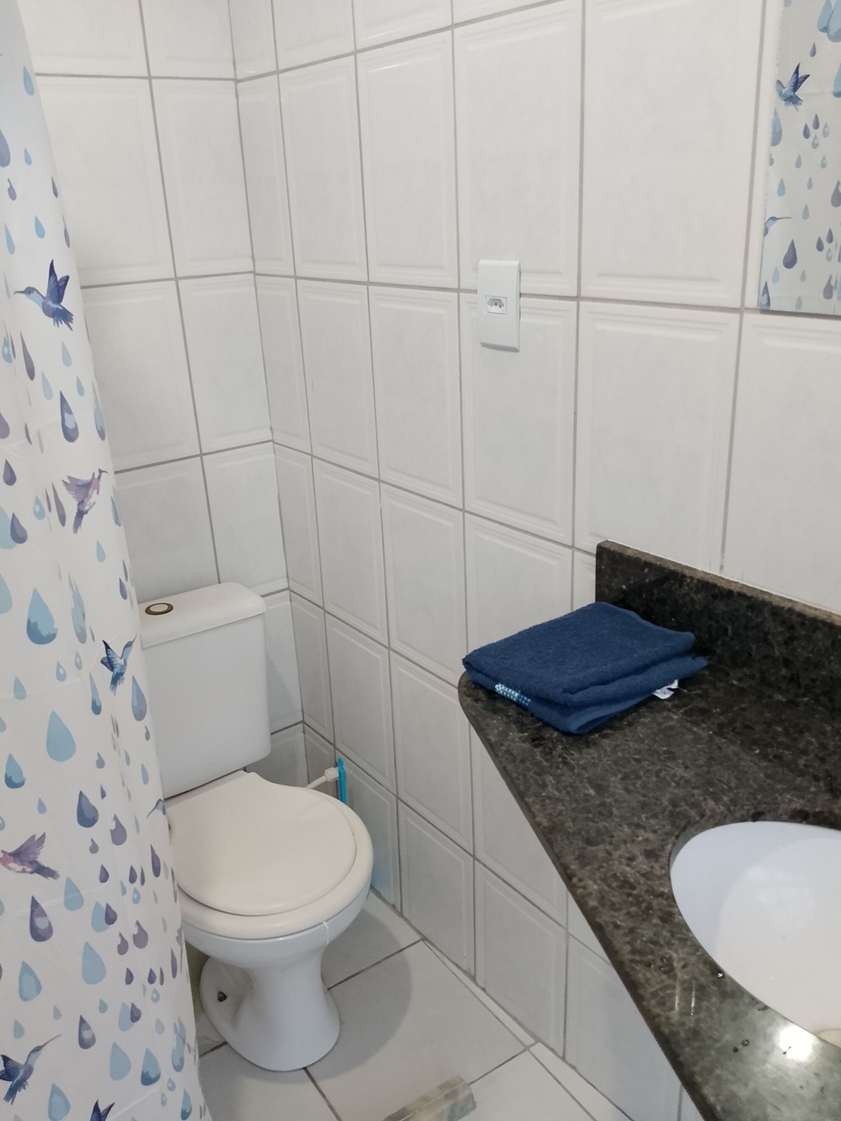 Separat badekar og bruser, Toiletpapir