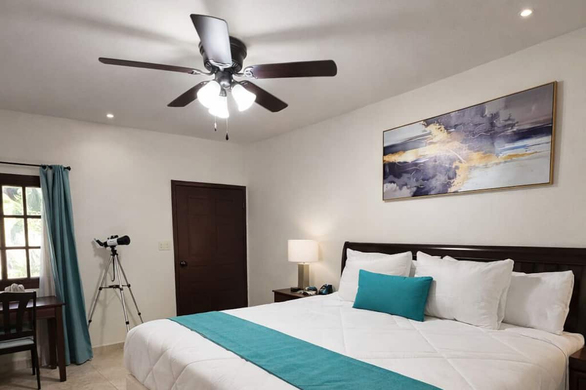 A hotel room with a bed, ceiling fan, artwork, and a tripod.