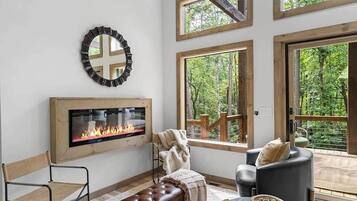 Smart TV, fireplace, books