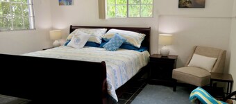 SXM Hillside Retreat large 3-bed/bath condo, tucked in the hills but central