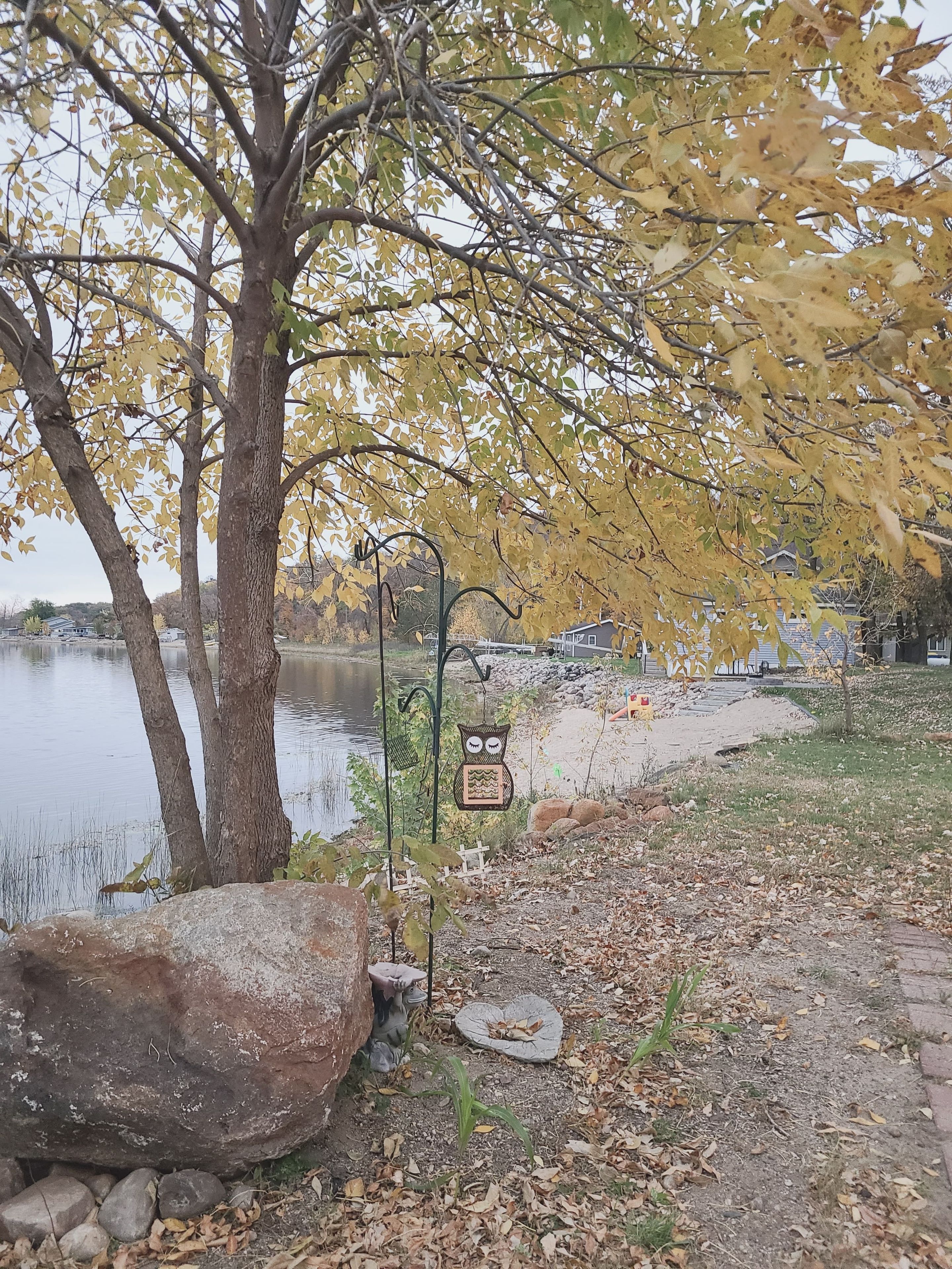 A lakeside path with a large rock, a tree with yellow leaves, and a metal sign with an owl design.