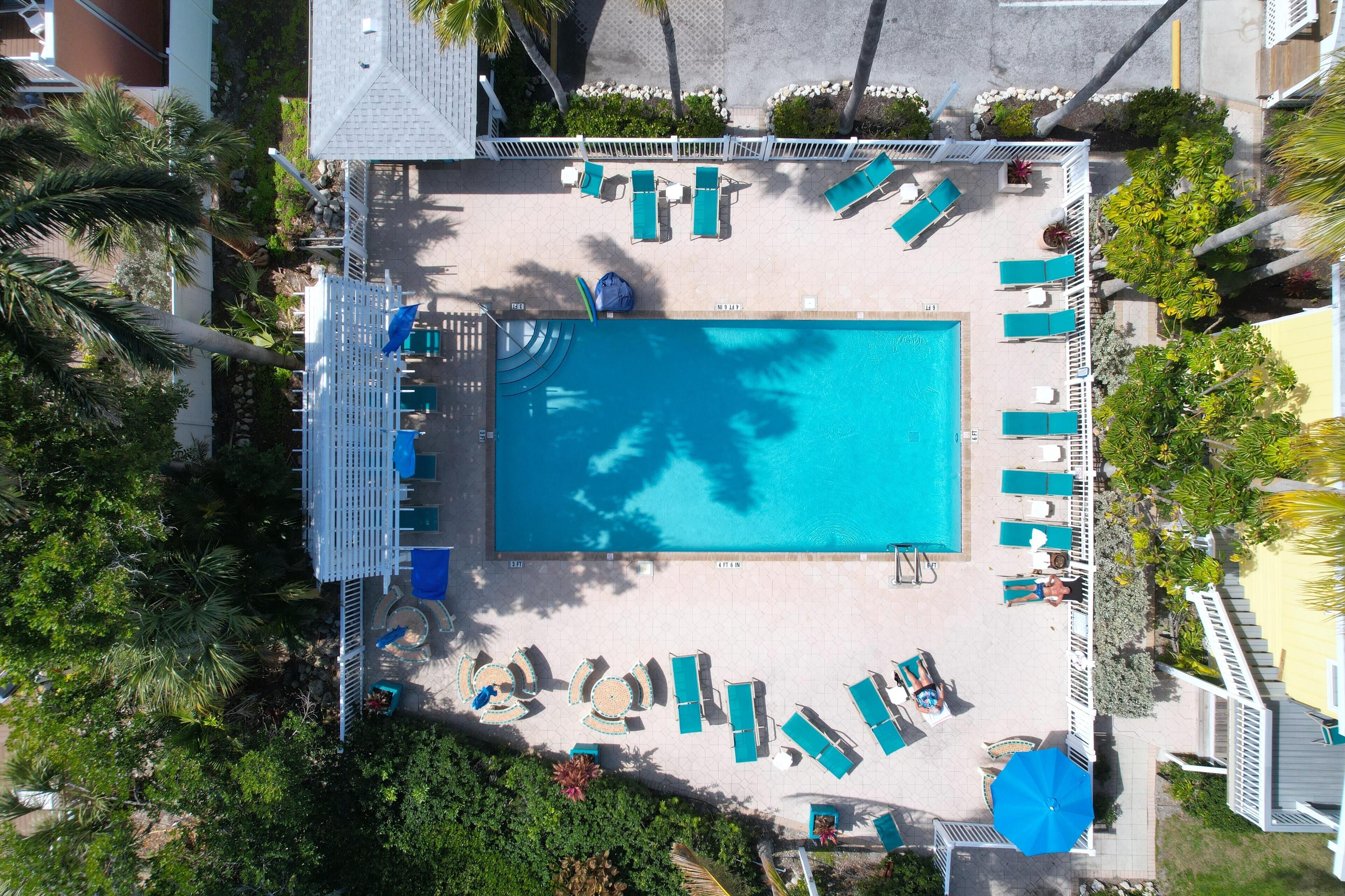 An aerial view of a swimming pool surrounded by lounge chairs and umbrellas, with palm trees and a white fence.