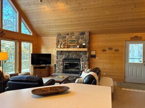 Smart TV, fireplace, DVD player, video library