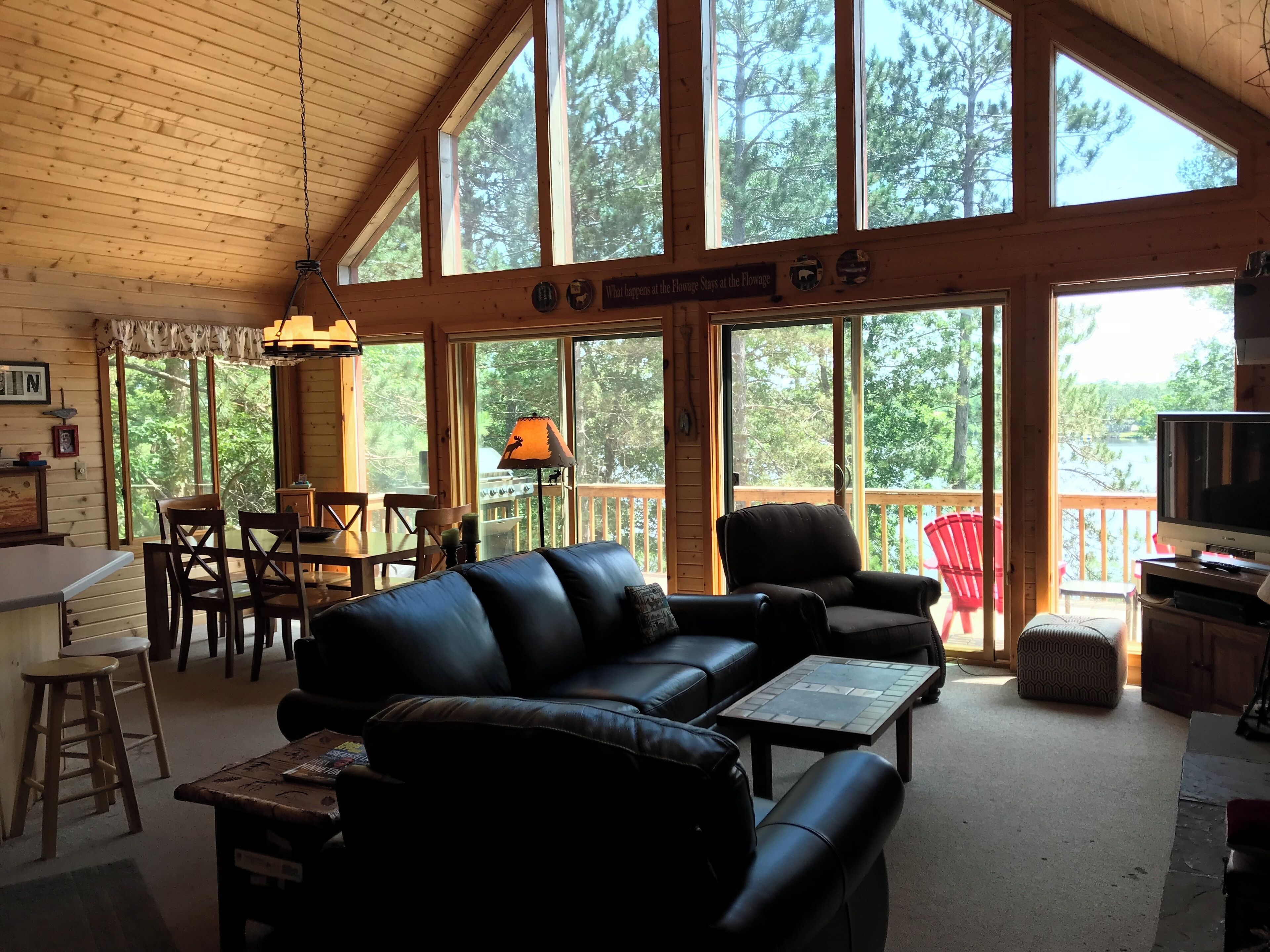 Televisor intel·ligent, llar de foc, reproductor de DVD i videoteca 